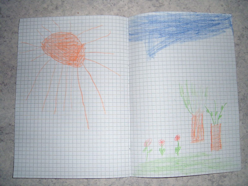 Soare si flori de Ovidiu